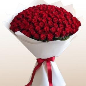 Ramo 365 dias para enamorar